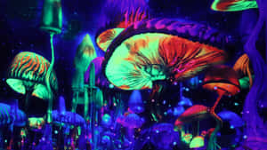 An Enchanting Trippy Mushroom In A Surreal Colorful Landscape Wallpaper