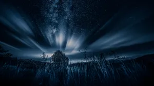 An Enchanting View Of The Dark Nature Wallpaper