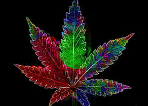 An Experience Of Psychedelic Weed Wallpaper