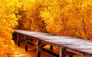 An Idyllic Fall Scene With Vibrant Colorful Foliage Wallpaper