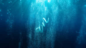 An In Ocean Wallpaper