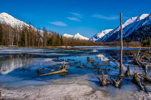 Anchorage's Natural Beauty Wallpaper