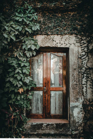 Ancient House Wood And Glass Door Wallpaper