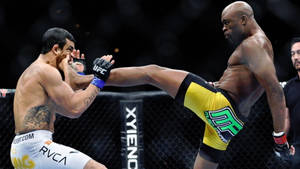 Anderson Silva Kick Opponent Head Wallpaper