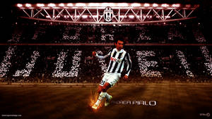 Andrea Pirlo Juventus Stadium Wallpaper