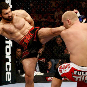 Andrei Arlovski And Alistair Overeem Wallpaper