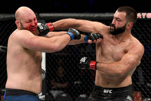 Andrei Arlovski And Ben Rothwell Wallpaper