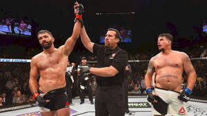 Andrei Arlovski Winning In Five-round Rematch Wallpaper