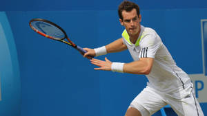 Andy Murray In Position To Hit Ball Wallpaper