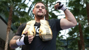 Andy Ruiz Gold Everlast Gloves Wallpaper