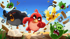 Angry Birds Action Wallpaper