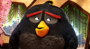 Angry Birds Black Bird Bomb Character Wallpaper