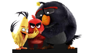 Angry Birds Characters Group Wallpaper
