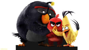 Angry Birds Characters Group Pose Wallpaper