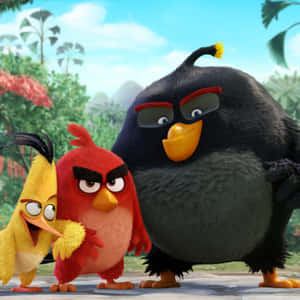 Angry Birds Characters Group Shot Wallpaper