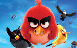Angry Birds Charactersin Sky Wallpaper