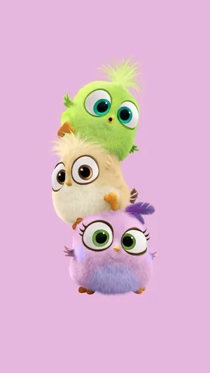 Angry Birds Cute Background Wallpaper