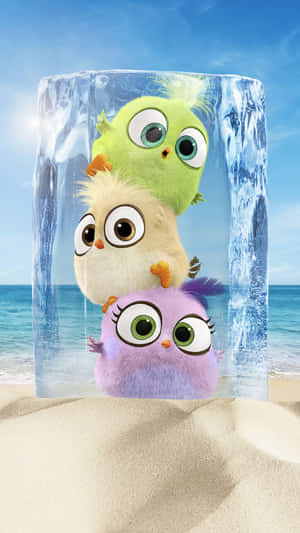 Angry Birds Hatchlings Ice Block Wallpaper