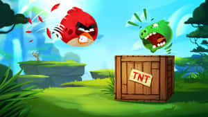 Angry Birds Red Bird Attacks Green Pig Wallpaper