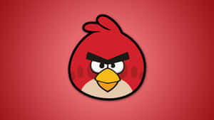 Angry Birds Red Character Icon Wallpaper