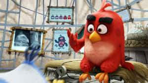 Angry Birds Red Character In Office Wallpaper