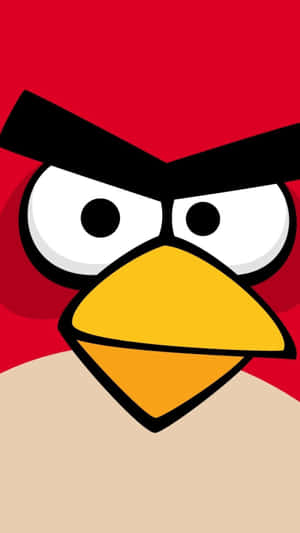 Angry Birds Red Character Wallpaper