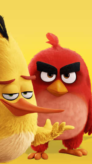 Angry Birds Redand Chuck Wallpaper