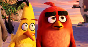 Angry Birds Redand Chuck Sunset Scene Wallpaper