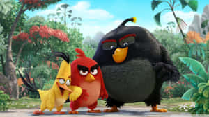 Angry Birds Trio Adventure Wallpaper