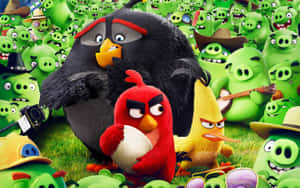 Angry Birdsand Green Pigs Faceoff Wallpaper