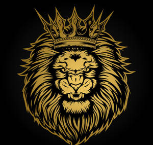 Angry Lion Head In Black Wallpaper