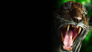 Angry Tiger Mouth Wallpaper