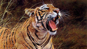 Angry Tiger Roar Wallpaper