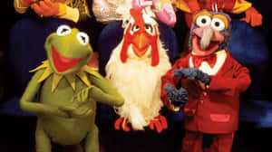 Animal And Elmo, Buddies For Life Wallpaper