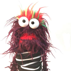 Animal From The Hit Show Muppet's Having A Fun Time With Friends Wallpaper