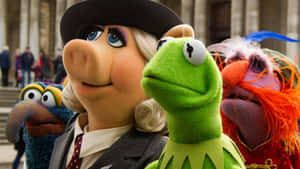 Animal Muppet, A Lovable Furry Puppet. Wallpaper