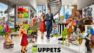 Animal Muppet Spreading Its Colorful Imagination Wallpaper