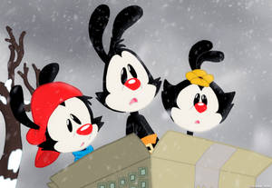 Animaniacs Warners In Snow Wallpaper