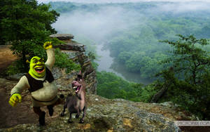 Animated Cartoon Shrek And Donkey Background Wallpaper