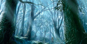 Animated Forest View Wallpaper