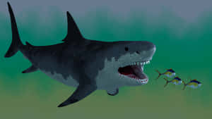 Animated Monster Black Shark Wallpaper
