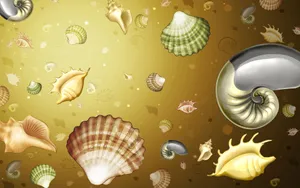 Animated Shells Image Wallpaper