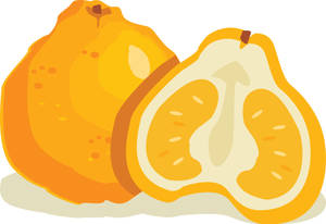 Animated Tangelo Fruit Wallpaper