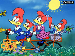Animation Picture Wallpaper: Woody Woodpecker Wallpaper Wallpaper