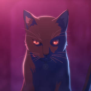 Anime Ipad Black Cat Akudama Drive Wallpaper