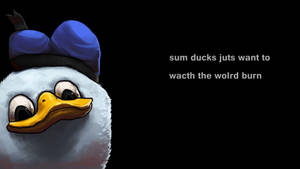 Anime Meme Pfp Cynical Duck Wallpaper