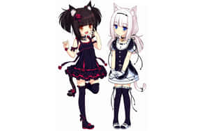 Anime Neko Girlsin Gothic Outfits Wallpaper