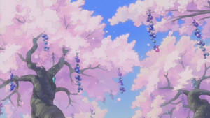 Anime Scenery Pink Sakura Wallpaper