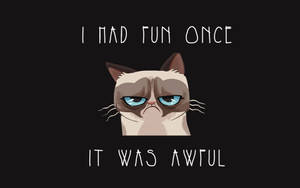 Annoyed Cartoon Cat Expressing Dissatisfaction Wallpaper