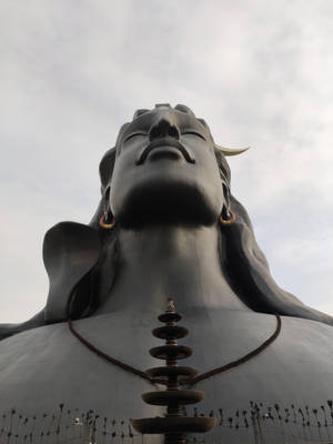 Ant View Lord Shiva 8k Wallpaper